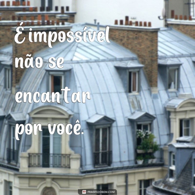 Descubra as mais belas e inspiradoras frases para encantar seu coração 