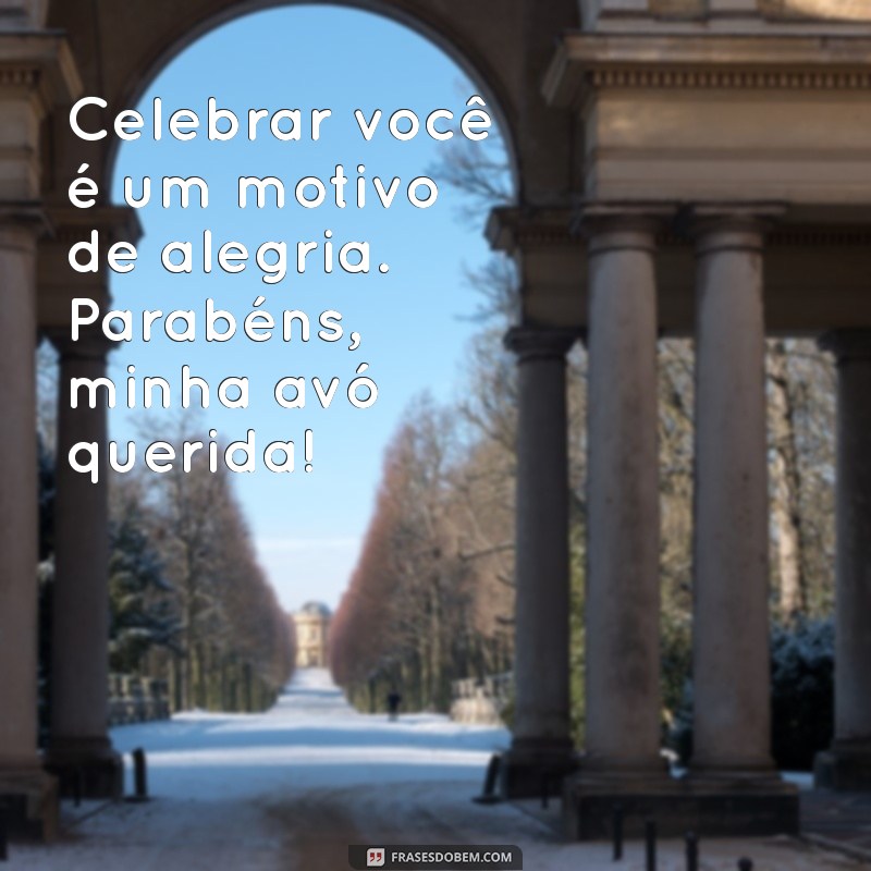 As Melhores Frases de Aniversário para Celebrar Sua Vó 