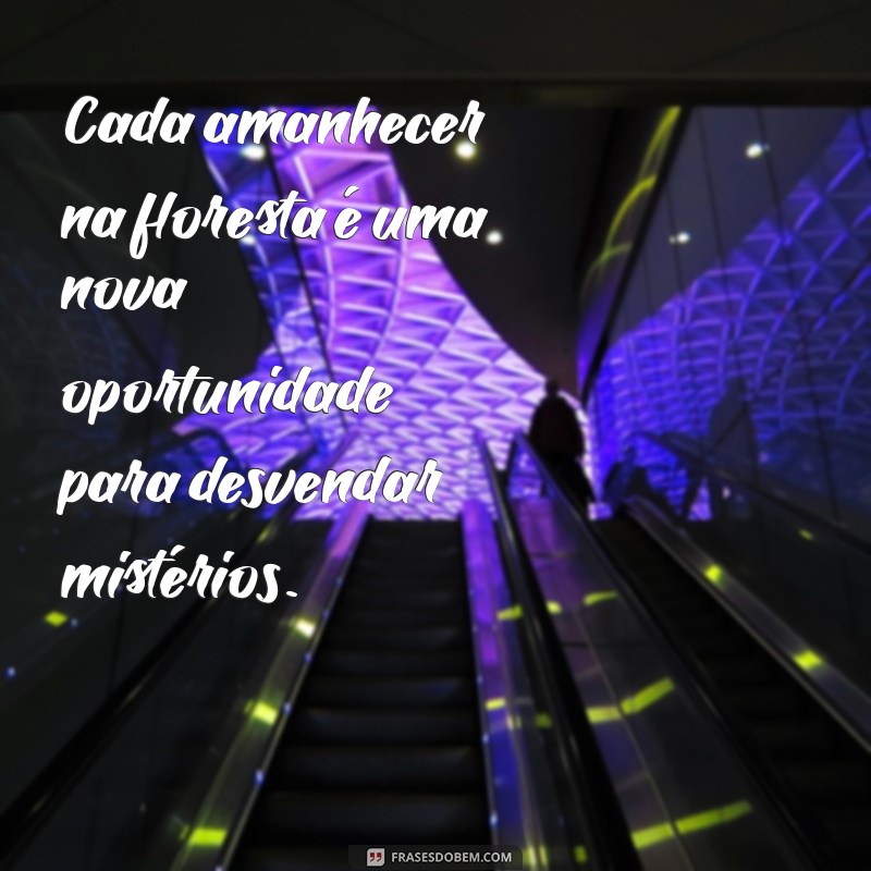 Frases Inspiradoras para Caçadores: Aventure-se com Sabedoria e Coragem 