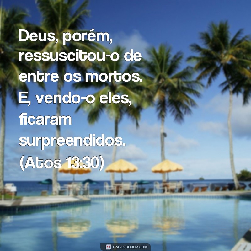 Descubra as melhores frases de versículos sobre milagres para inspirar sua fé! 