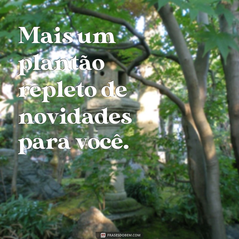 Descubra as melhores frases de plantão para inspirar e motivar seu dia! 