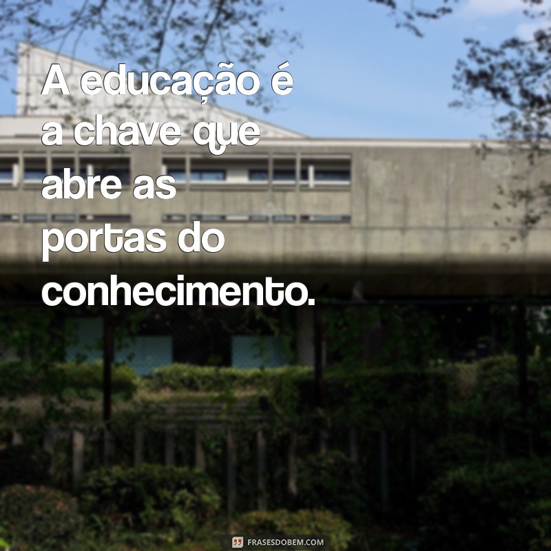 Descubra as Melhores Frases sobre Conhecimento para Inspirar sua Aprendizagem 