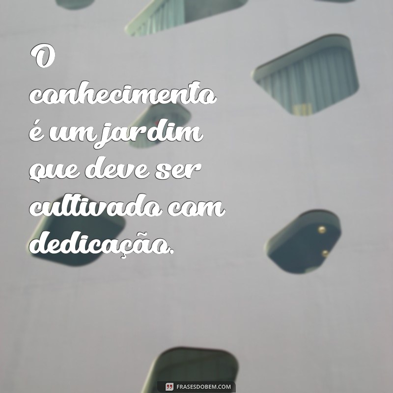 Descubra as Melhores Frases sobre Conhecimento para Inspirar sua Aprendizagem 