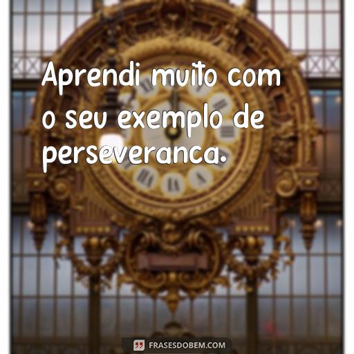  Aprendi muito com o seu exemplo de perseverança.