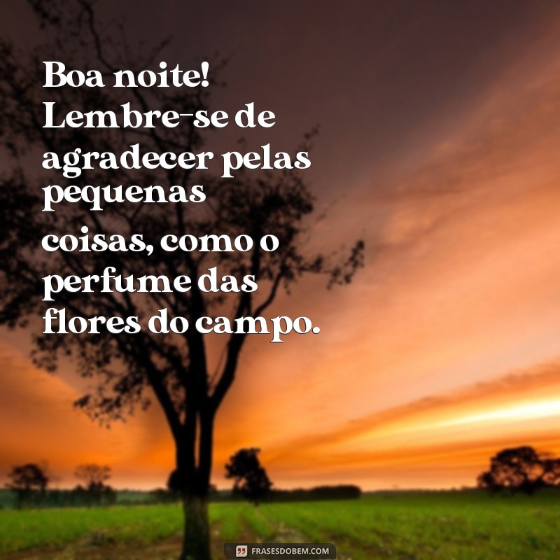 Encante-se com lindas frases de boa noite com flores do campo 