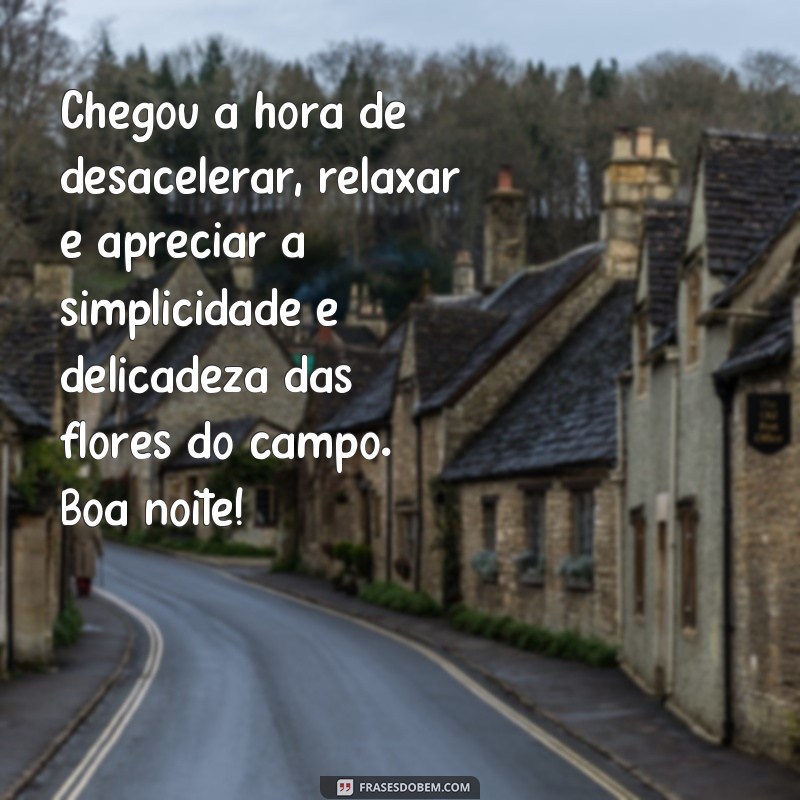 Encante-se com lindas frases de boa noite com flores do campo 