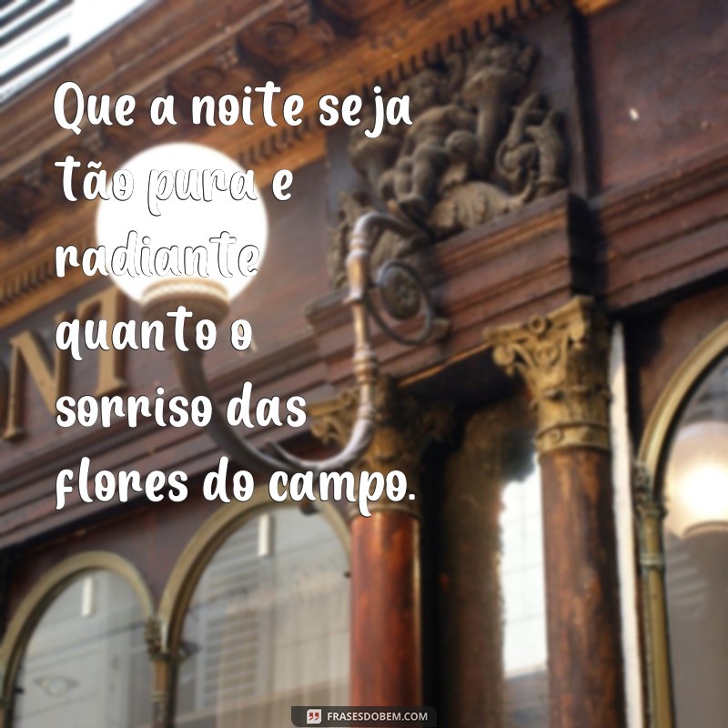 Encante-se com lindas frases de boa noite com flores do campo 