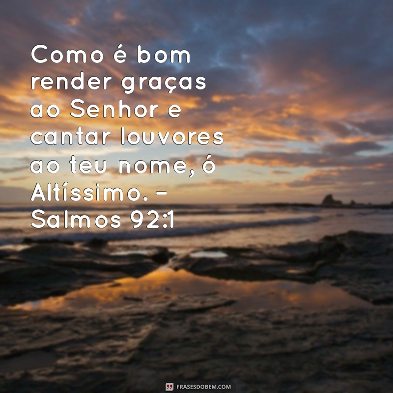 Versículos Bíblicos de Gratidão: Inspiração e Reflexão 