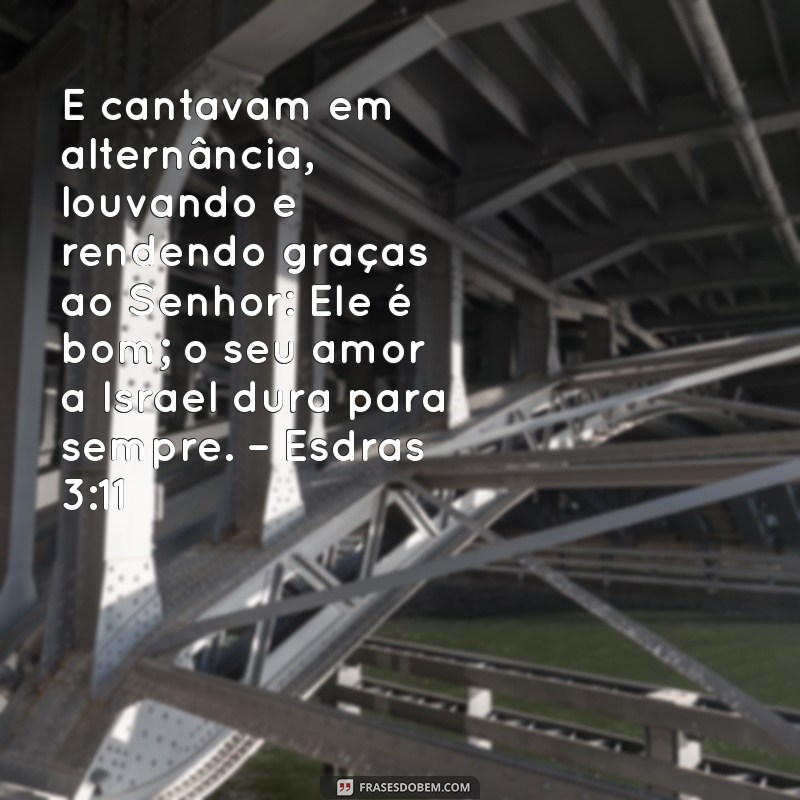 Versículos Bíblicos de Gratidão: Inspiração e Reflexão 