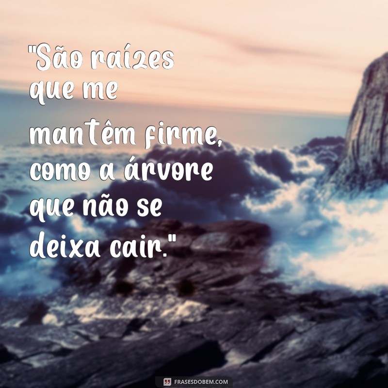 frases música raiz 