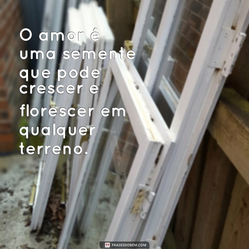 Descubra as melhores frases de amor possível para expressar seus sentimentos 