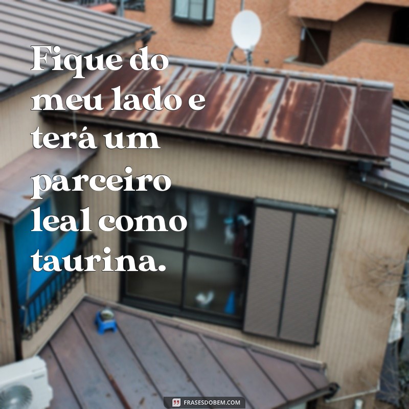 Descubra as melhores frases de taurina para se inspirar e se identificar 