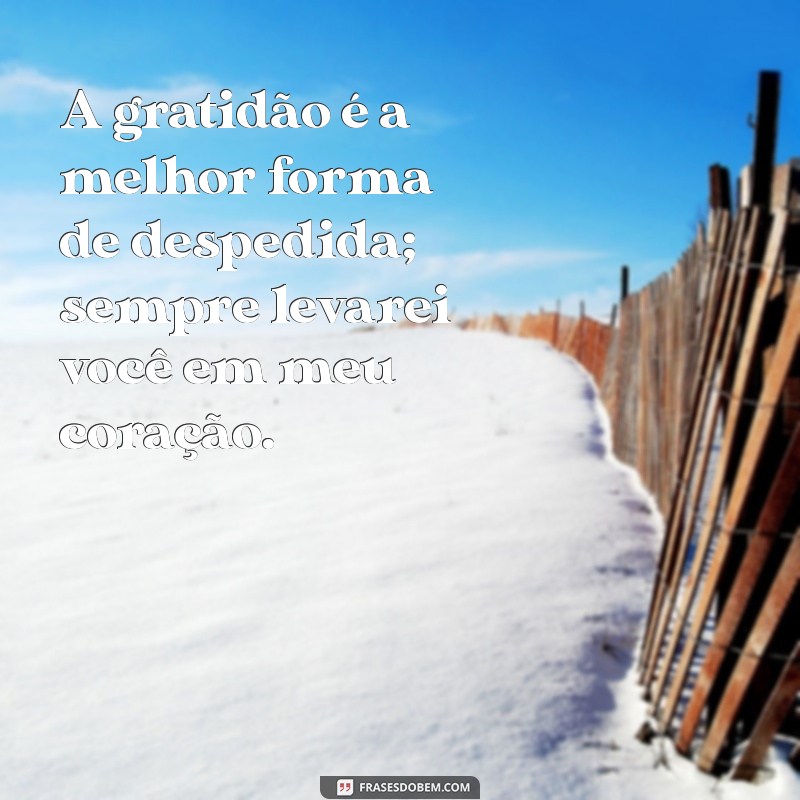 Frases de Despedida e Agradecimento: Mensagens Tocantes para Momentos Especiais 