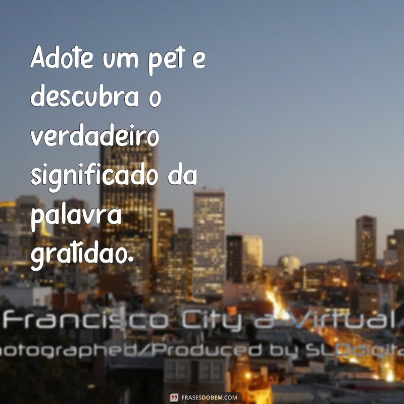 Descubra as mais emocionantes frases sobre adoção e se inspire para mudar vidas! 