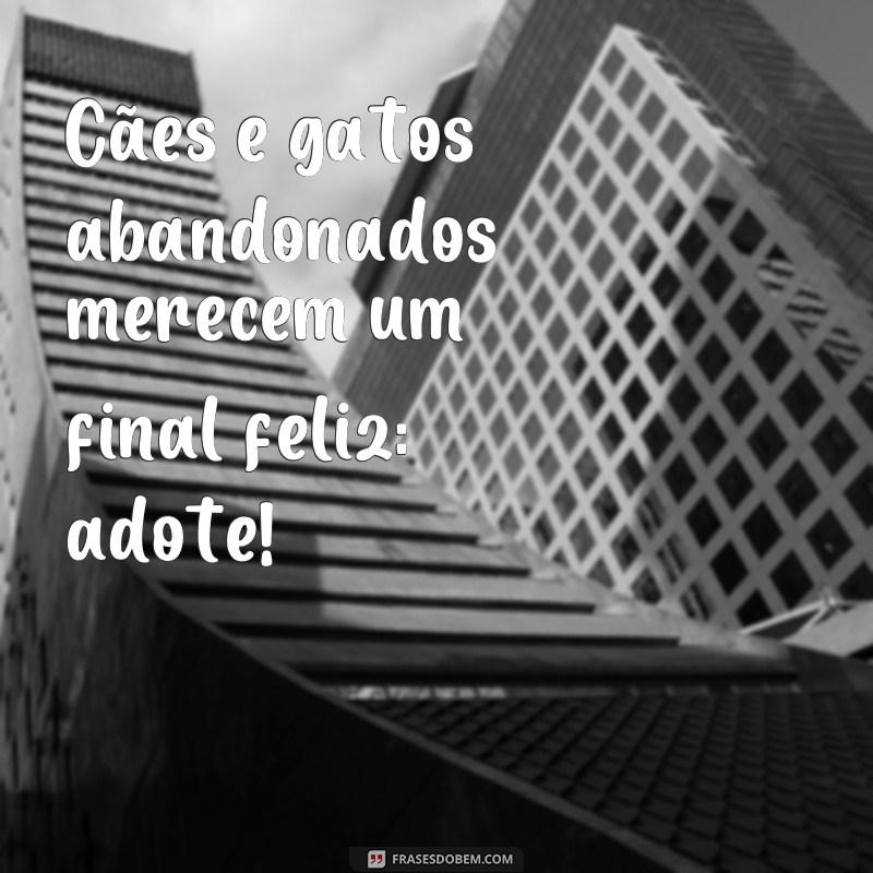 Descubra as mais emocionantes frases sobre adoção e se inspire para mudar vidas! 