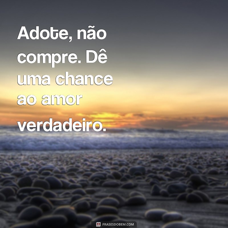 frases de adoção Adote, não compre. Dê uma chance ao amor verdadeiro.