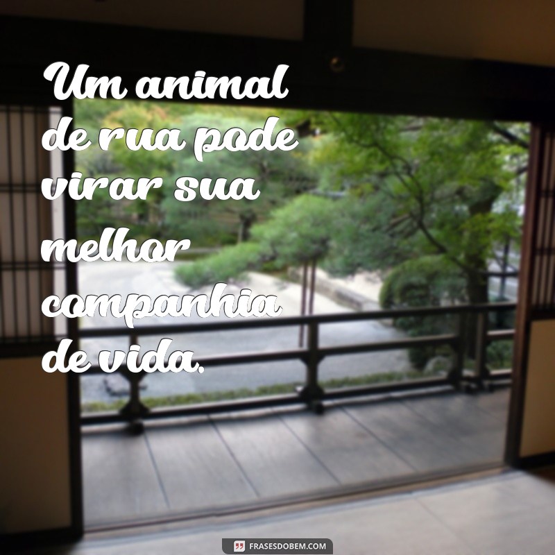 Descubra as mais emocionantes frases sobre adoção e se inspire para mudar vidas! 