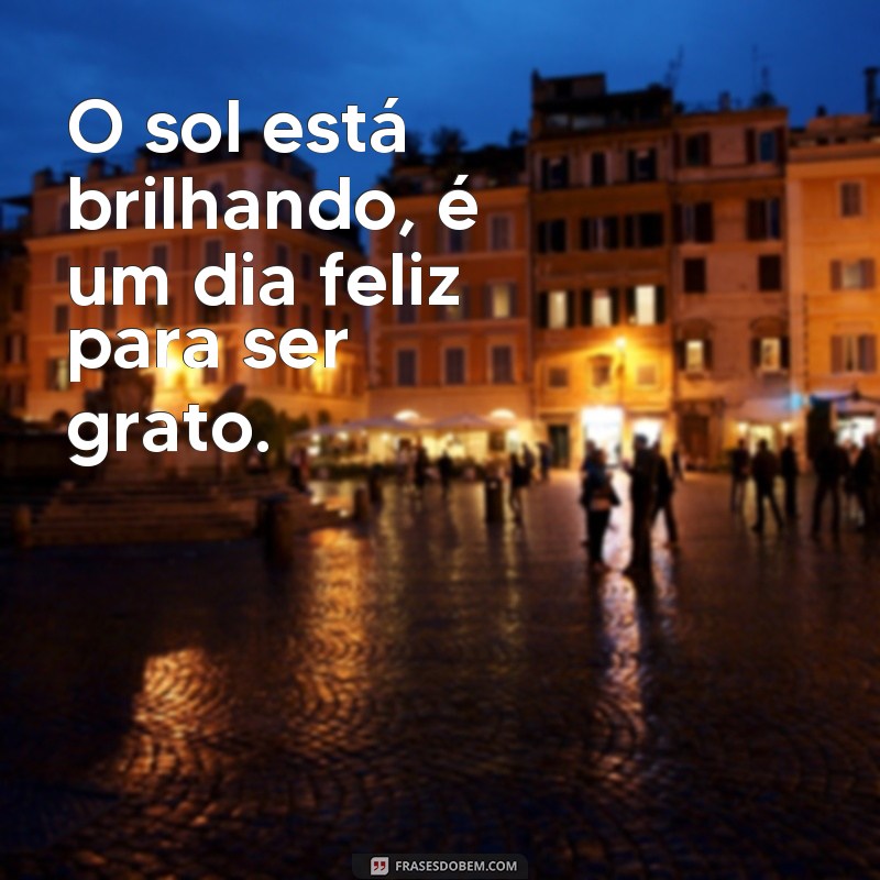 Descubra 50 Frases Inspiradoras para Alegrar Seus Dias Felizes 