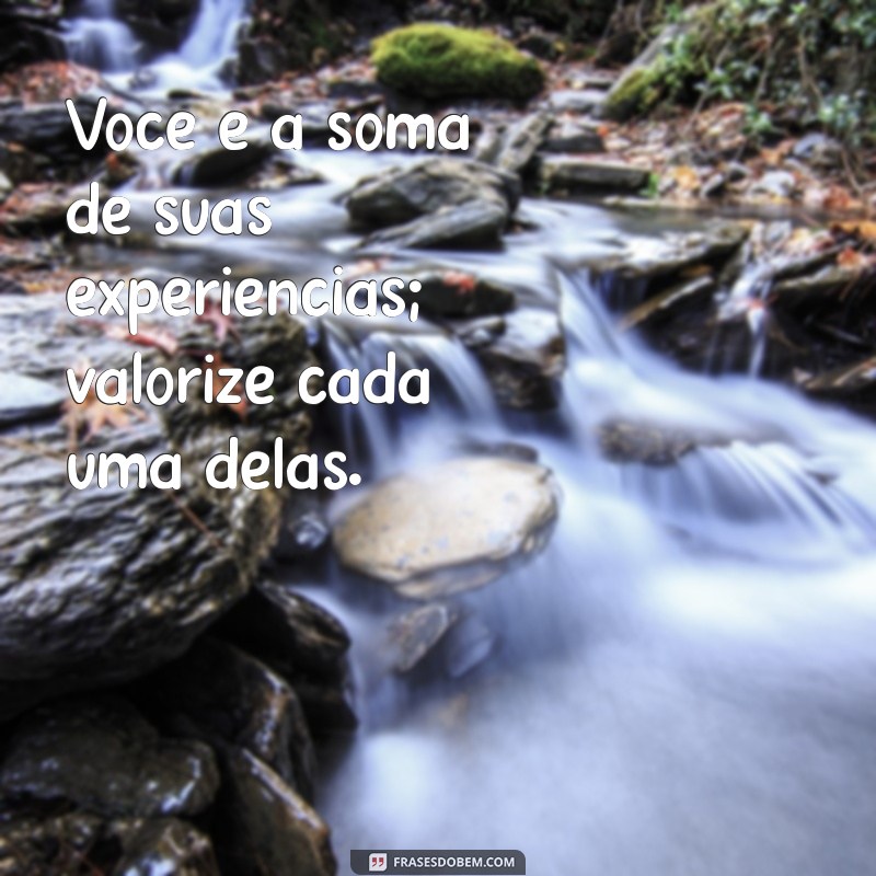 Frases Inspiradoras para Valorizar sua Carreira e Aumentar sua Motivação Profissional 