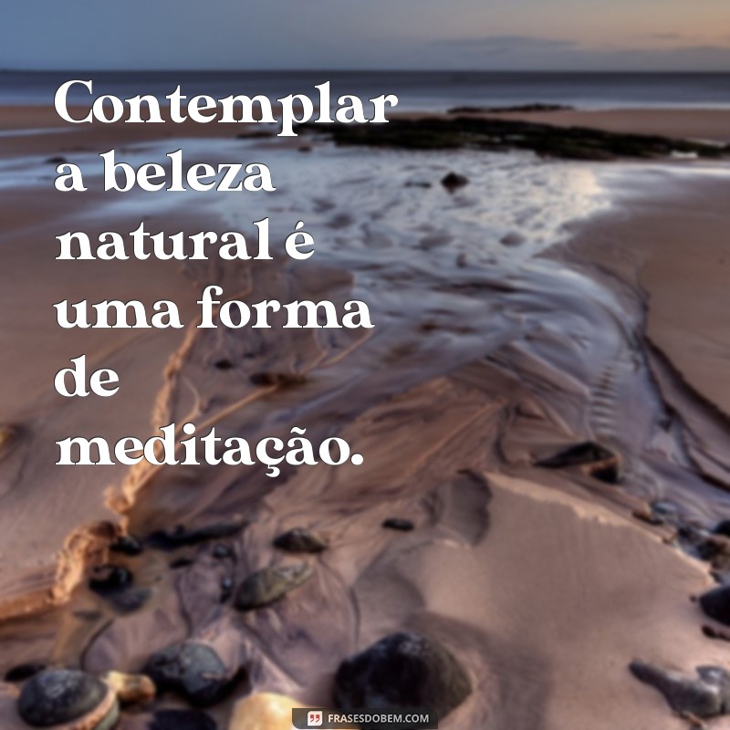 Descubra as 50 melhores frases para legendar suas fotos de paisagens naturais 