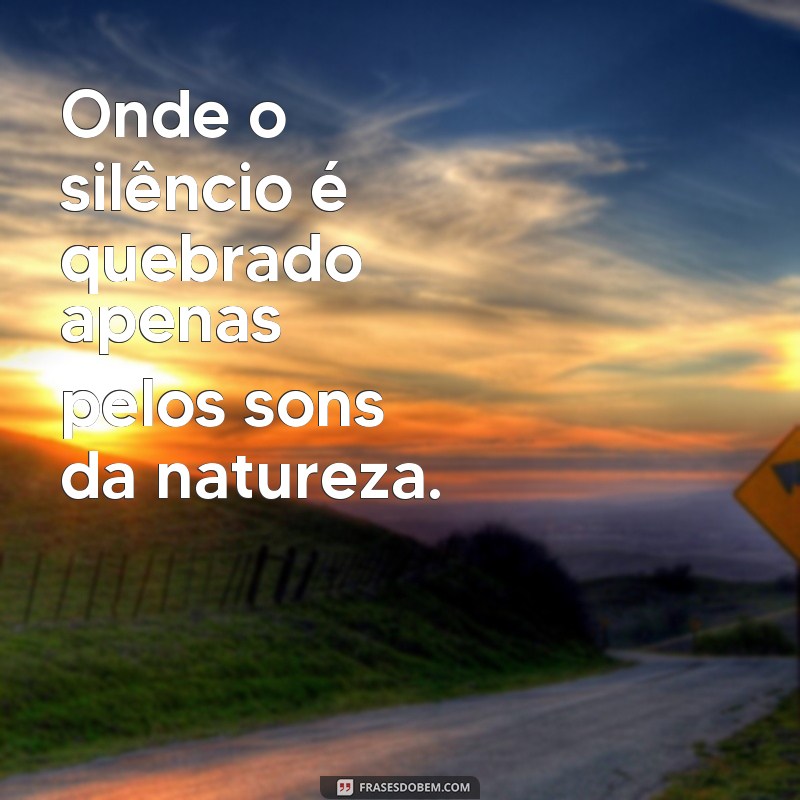 Descubra as 50 melhores frases para legendar suas fotos de paisagens naturais 