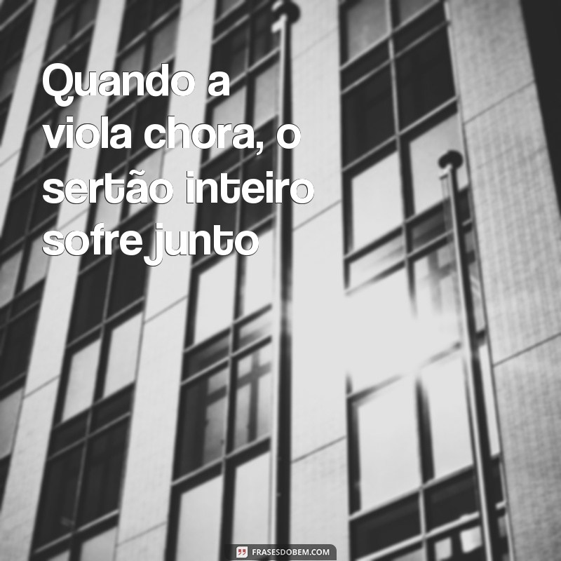 Descubra as melhores frases do modão de viola para se emocionar e se inspirar 