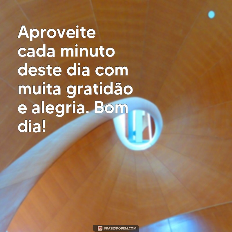 Encante seus dias com as melhores frases de bom dia em gifs animados 