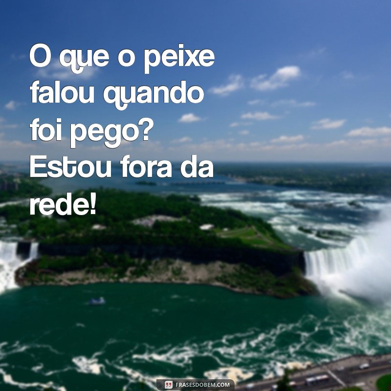 As Melhores Frases Engraçadas sobre Peixes para Dar Risadas 