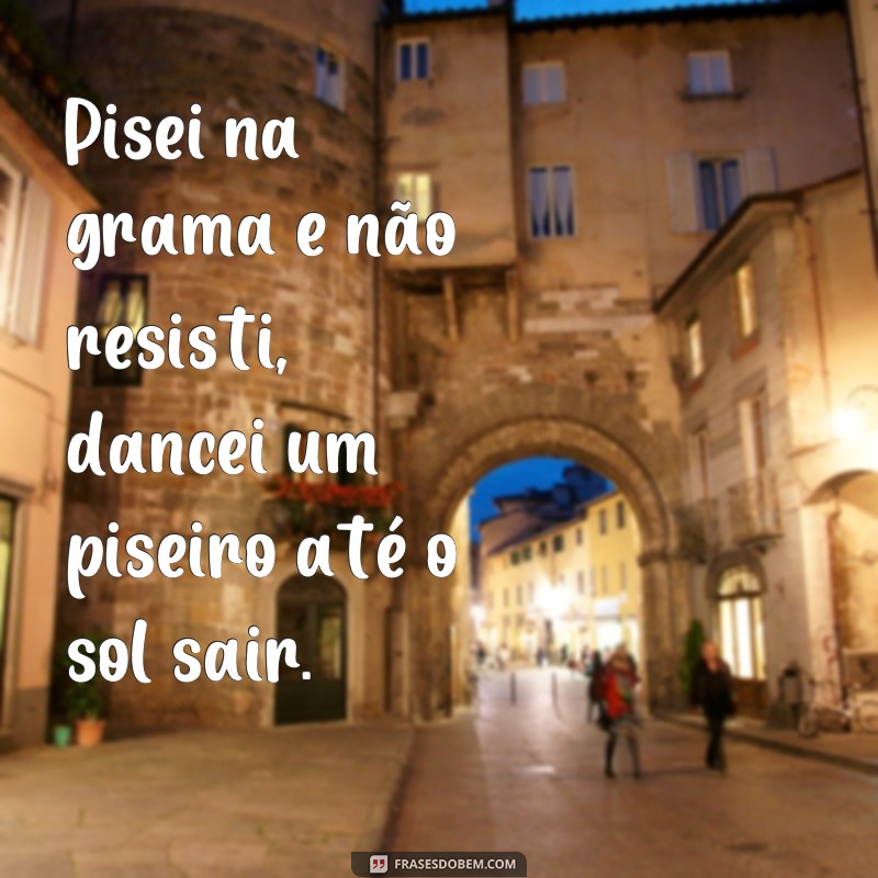 Descubra as melhores frases de piseiro para se divertir e se inspirar! 