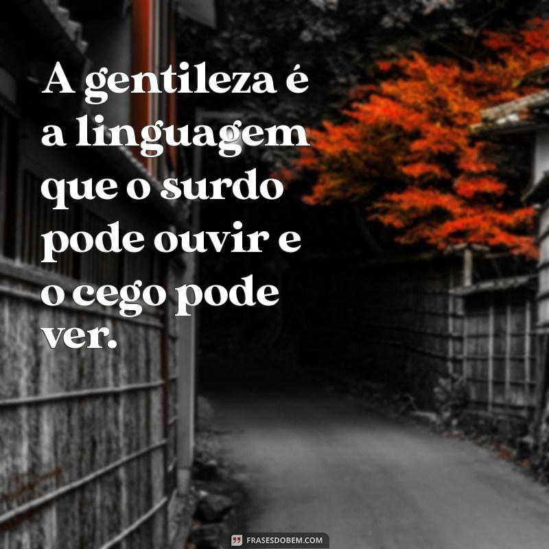 frases sobre gentileza A gentileza é a linguagem que o surdo pode ouvir e o cego pode ver.