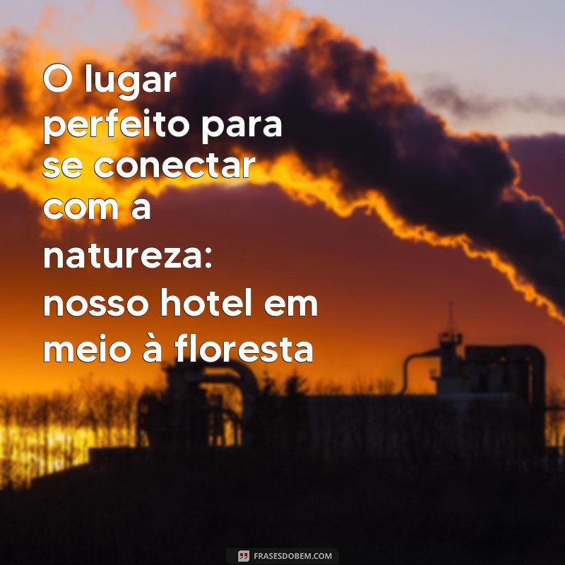 Descubra as melhores frases para atrair hóspedes para o seu hotel! 