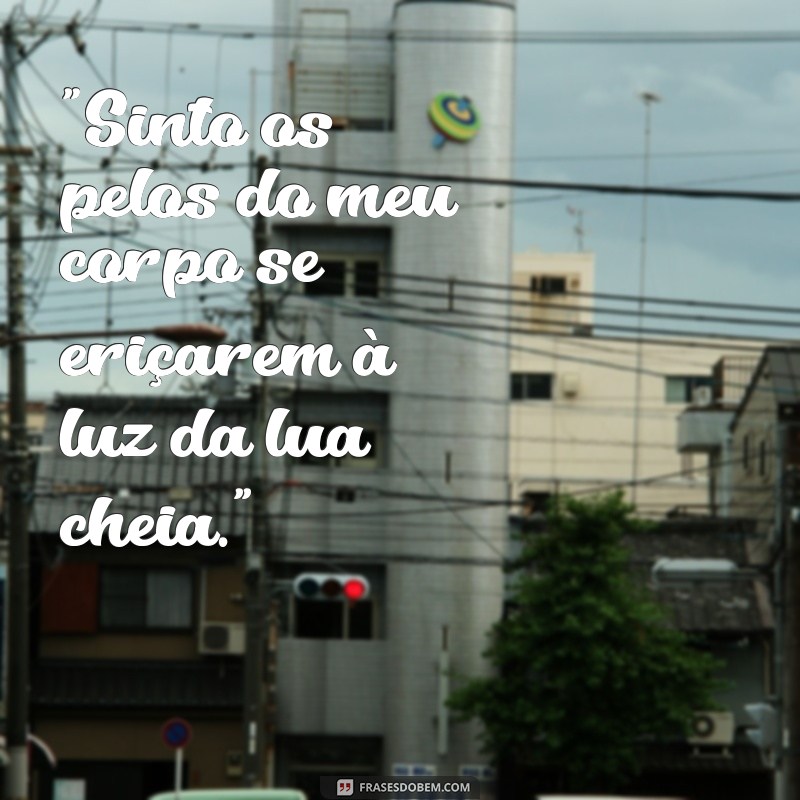 frases de lobisomem 