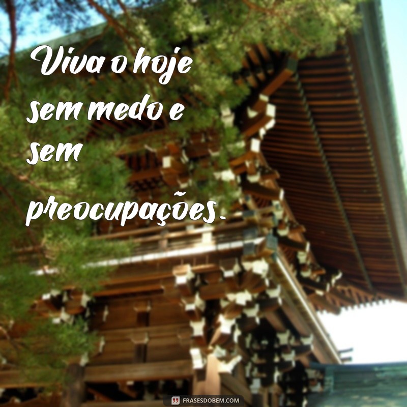 Descubra as Melhores Frases para Viver o Hoje e Desfrutar do Presente! 