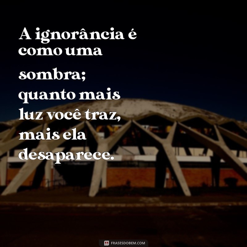 frases de ignorância A ignorância é como uma sombra; quanto mais luz você traz, mais ela desaparece.