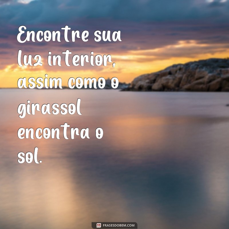 Encante-se com as mais belas fotos de girassóis acompanhadas de frases inspiradoras 