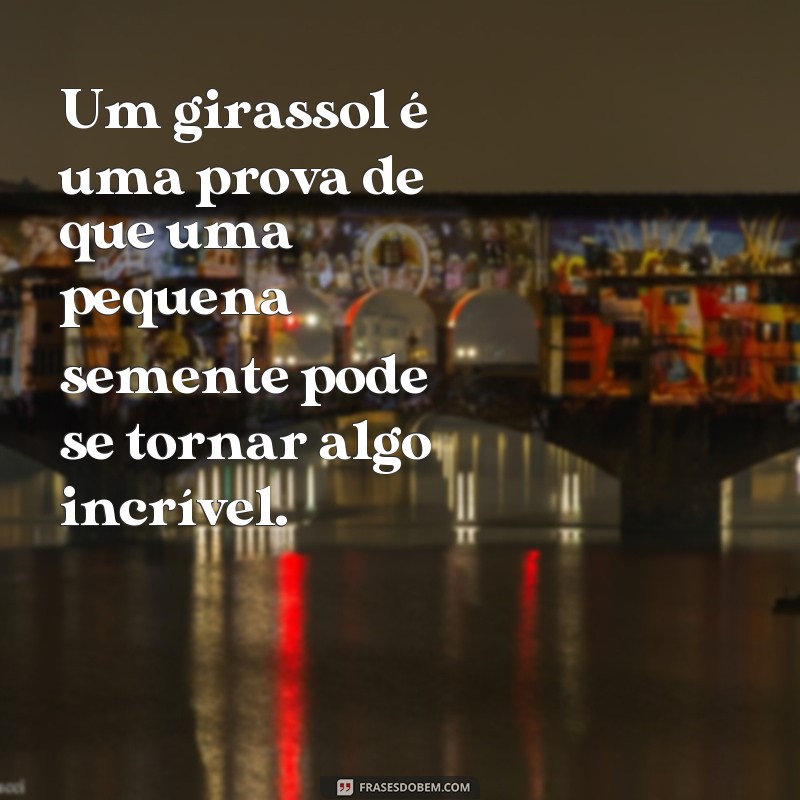 Encante-se com as mais belas fotos de girassóis acompanhadas de frases inspiradoras 