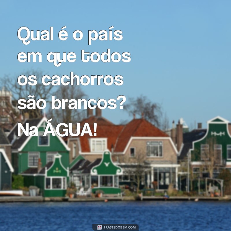 frases a piada mais engraçada do mundo Qual é o país em que todos os cachorros são brancos? Na ÁGUA!