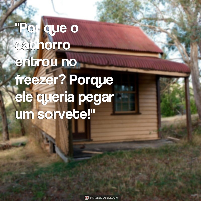 frases conversas engraçadas 