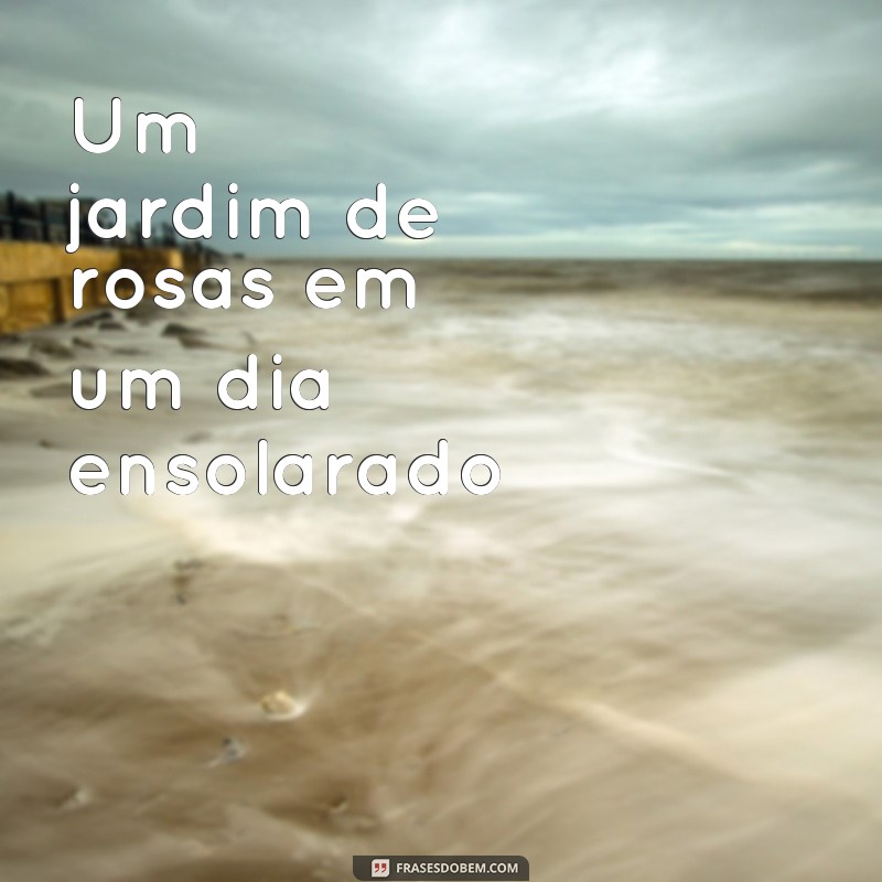 Descubra as Melhores Fotos para Complementar Suas Frases com Estilo 