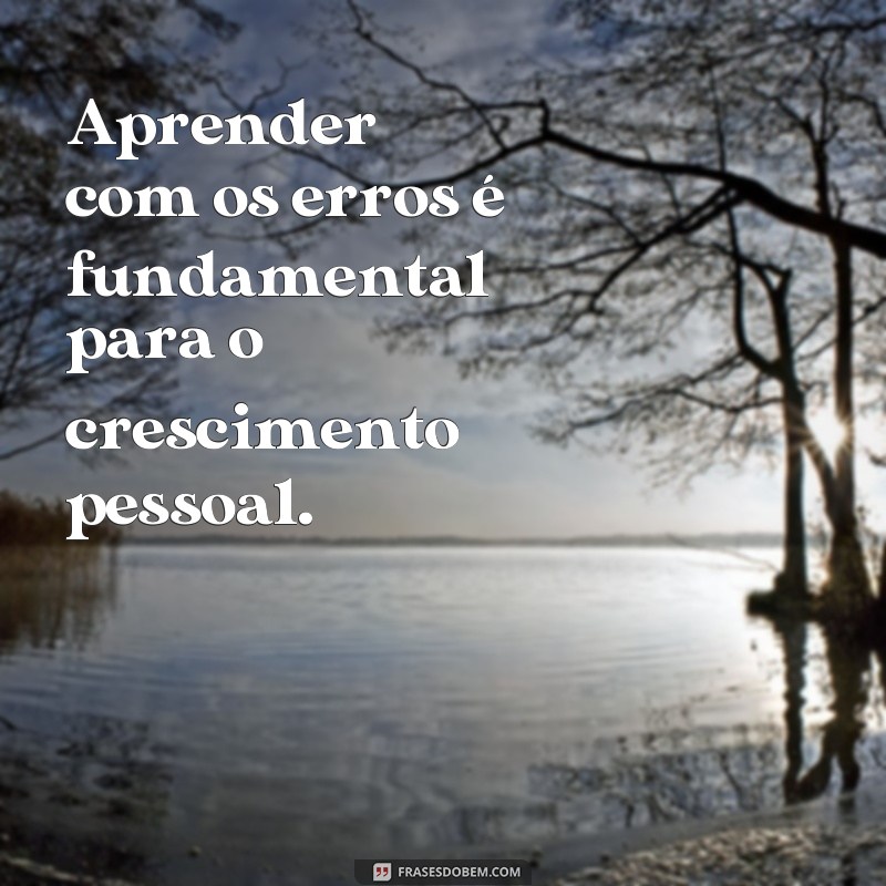 frases a gente não vai errar Aprender com os erros é fundamental para o crescimento pessoal.