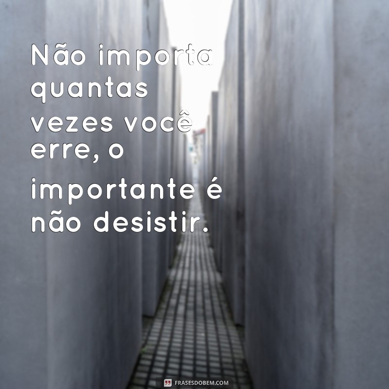 Descubra as melhores frases para nunca mais errar na vida 