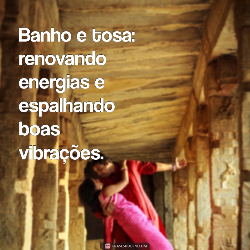 As Melhores Frases de Banho e Tosa para Inspirar e Divertir 