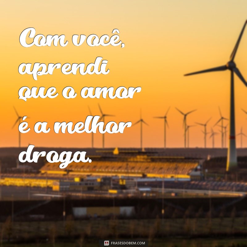 As Melhores Frases de Amor para Encantar Alguém Especial 