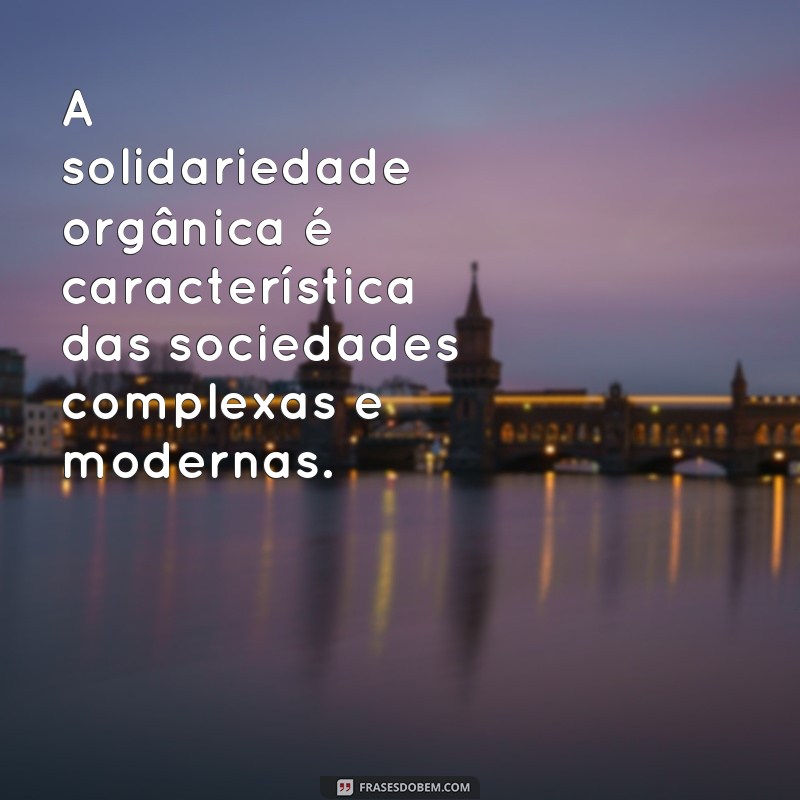 Descubra as melhores frases de Emile Durkheim e se inspire em suas reflexões sociológicas 