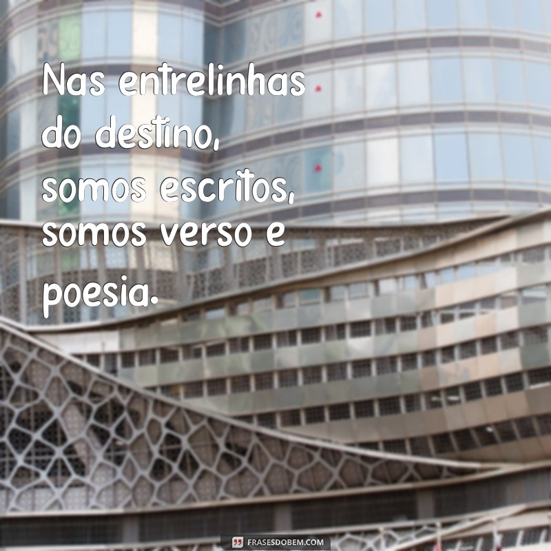 Descubra o poder das frases: somos todos versos e poesia 