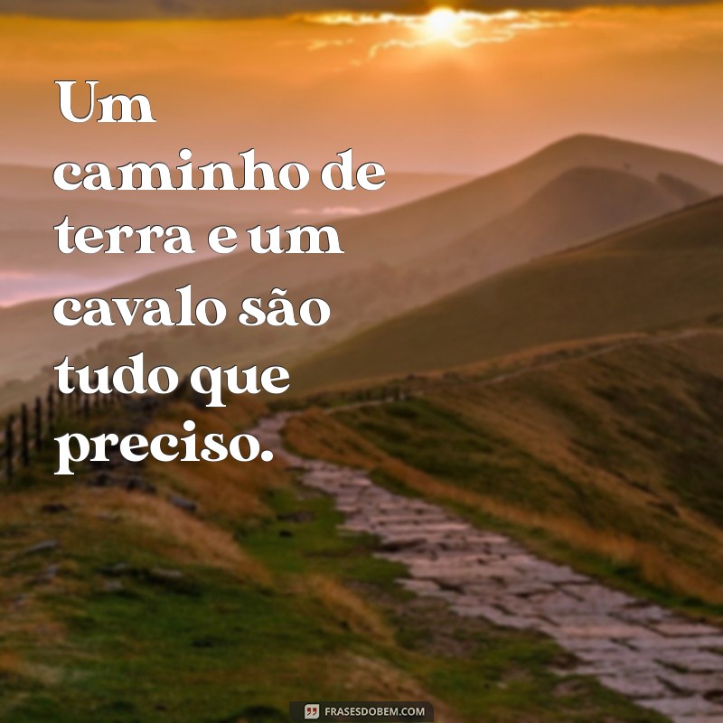 Melhores Frases de Cavalgada para Status: Inspire-se e Compartilhe sua Paixão! 