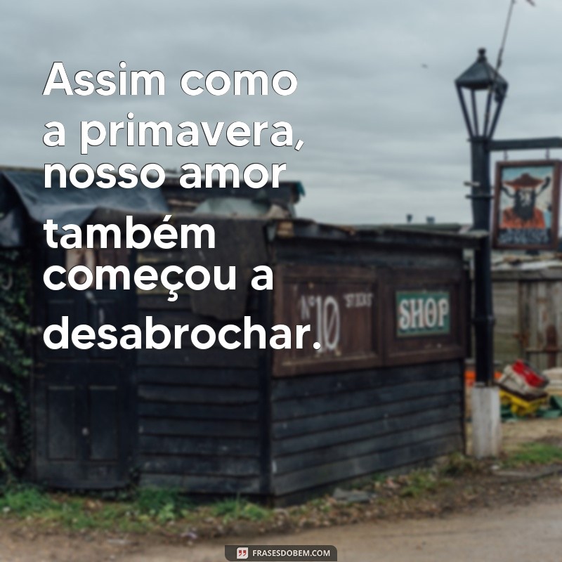 Descubra as mais belas frases de amor novo para declarar seu sentimento 