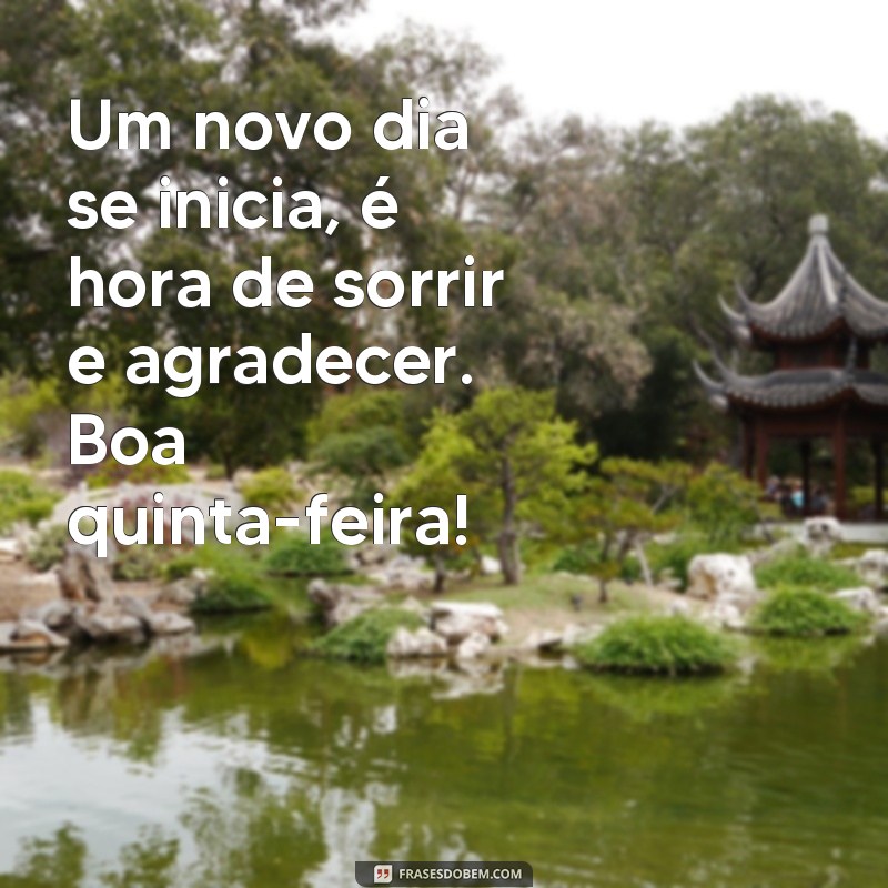 Comece sua quinta-feira com boas vibrações: confira as melhores frases de bom dia! 