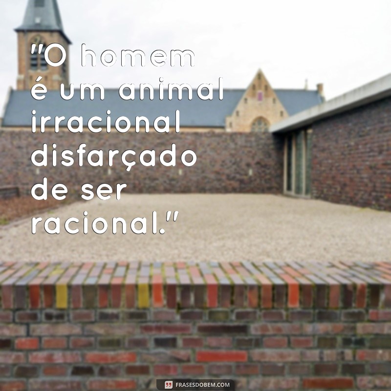 frases schopenhauer frases 