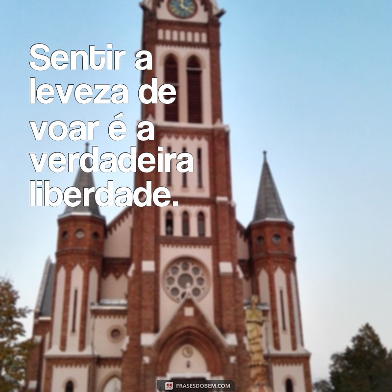 frases de voar liberdade Sentir a leveza de voar é a verdadeira liberdade.